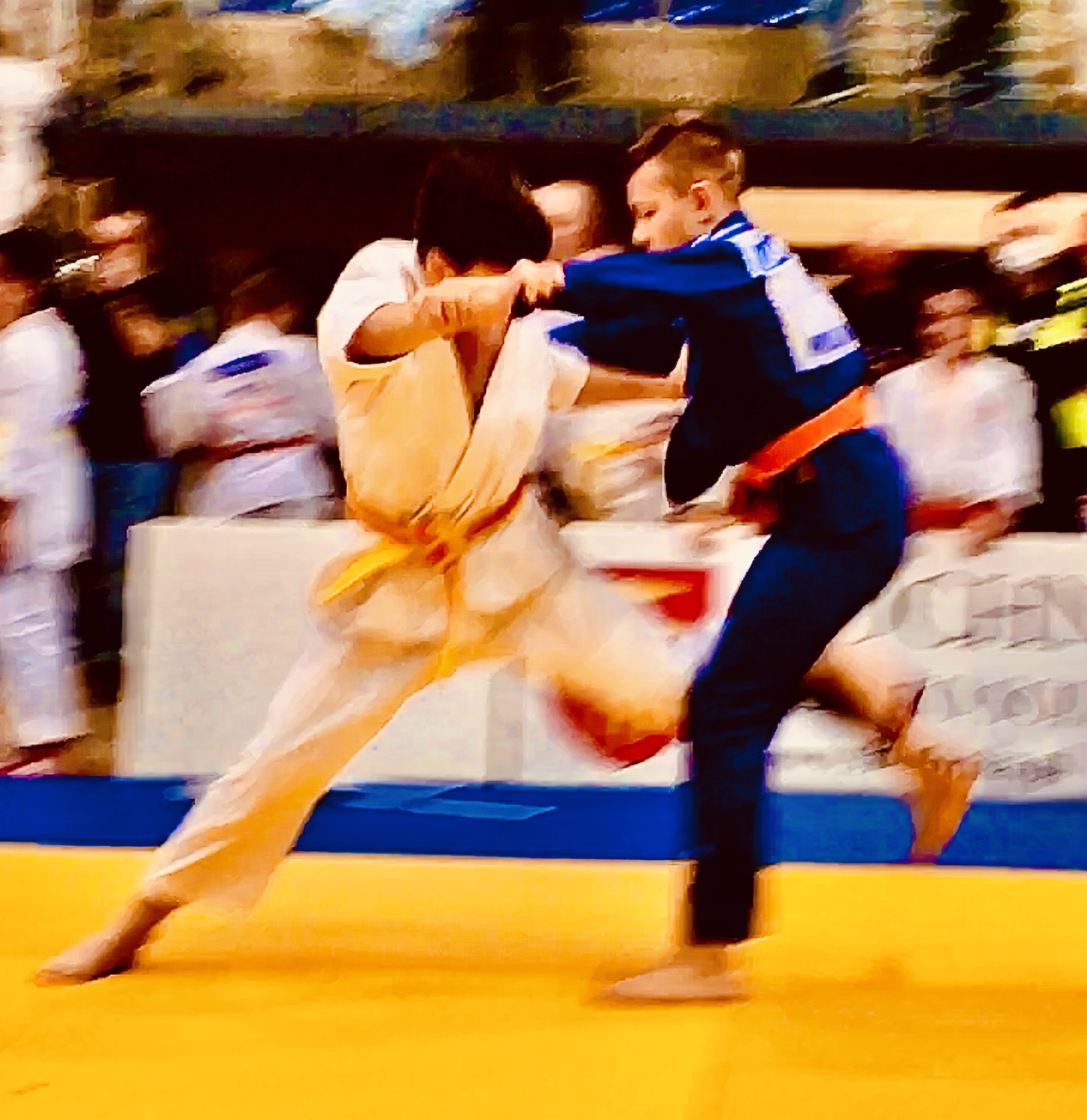 foto judo