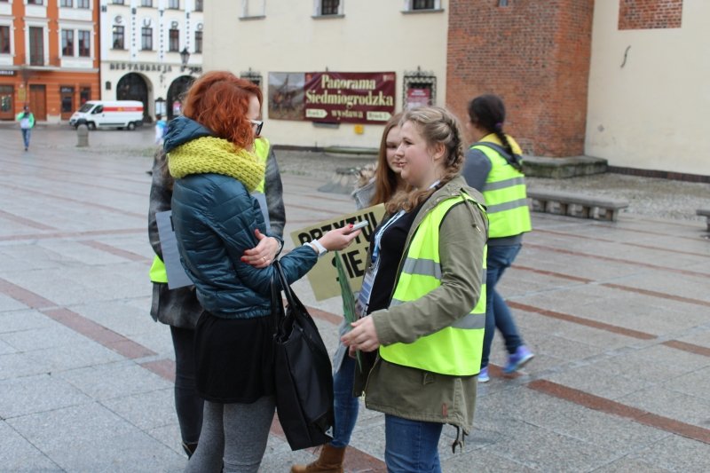 Za sprawą „pałacowych” wolontariuszy