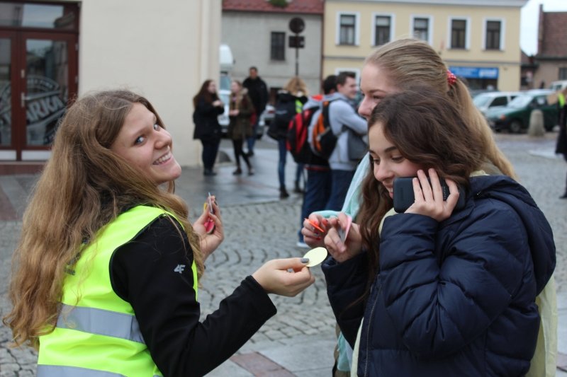 Za sprawą „pałacowych” wolontariuszy