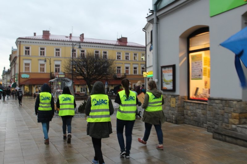 Za sprawą „pałacowych” wolontariuszy