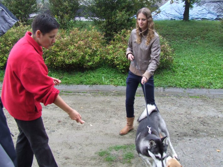 Szkolenie dla wolontariuszy w Tarnowskim Azylu dla Psów i Kotów