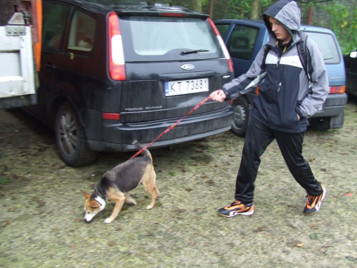 Szkolenie dla wolontariuszy w Tarnowskim Azylu dla Psów i Kotów