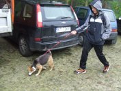 Szkolenie dla wolontariuszy w Tarnowskim Azylu dla Psów i Kotów